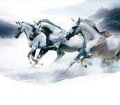 省内排行前十，，，设计、、、施工实力排前